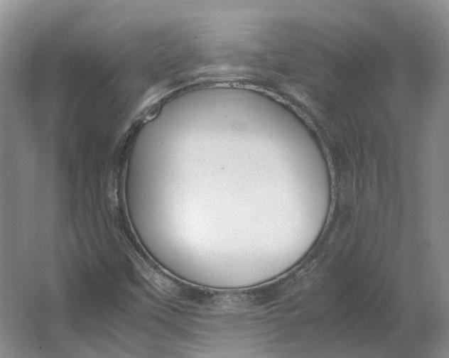 X0000064731451200602241659