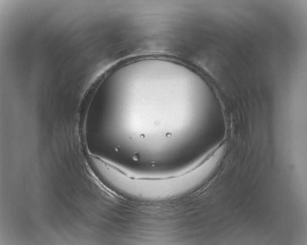 X0000064731452200602241659