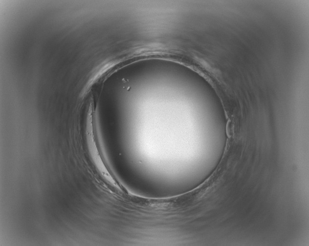 X0000064731453200602241659