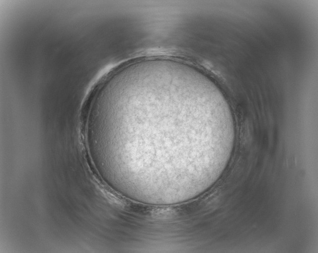 X0000064731454200602241659