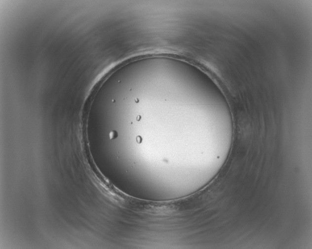 X0000064731460200602241659