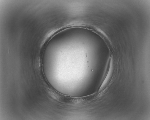 X0000064731461200602241659