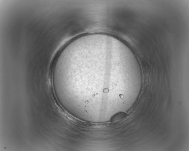 X0000064731462200602241659