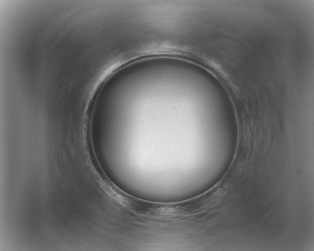 X0000064731463200602241659