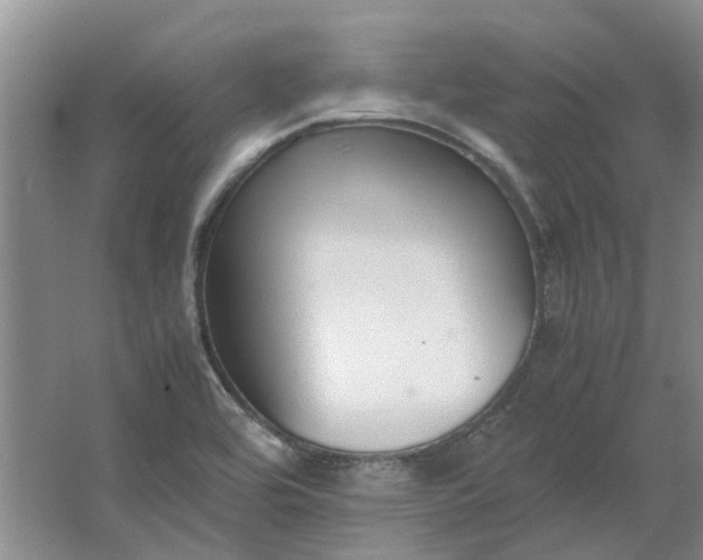 X0000064731464200602241659