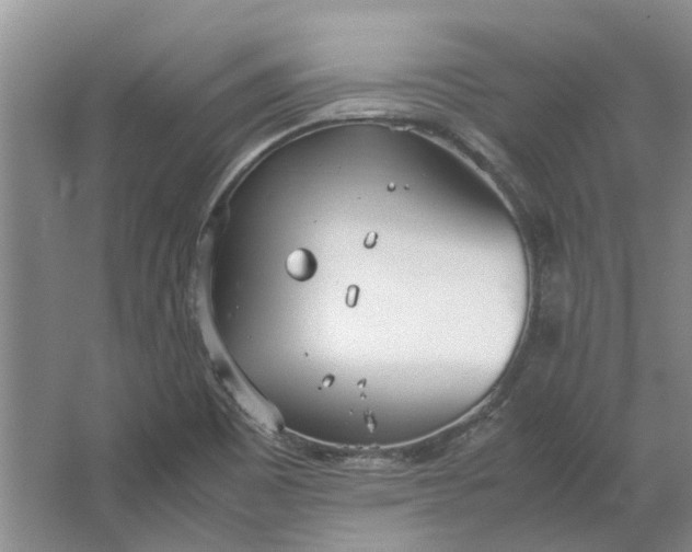 X0000064731465200602241659