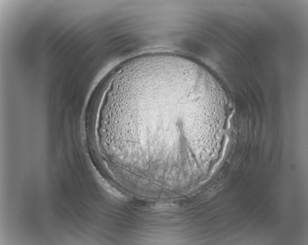 X0000064731466200602241659