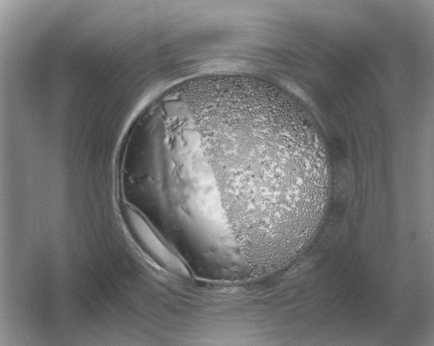 X0000064731467200602241659