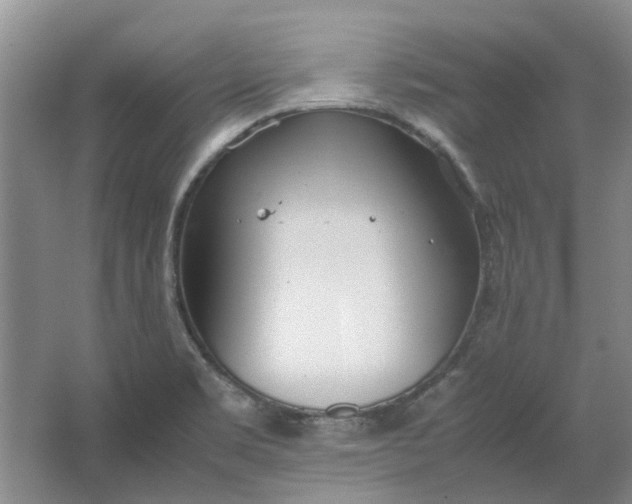 X0000064731469200602241659