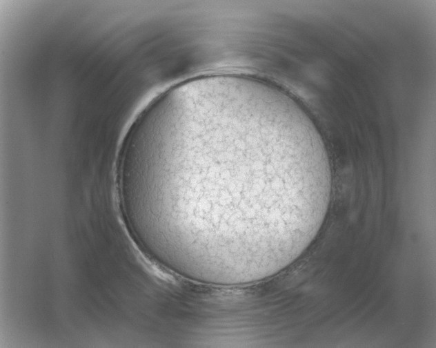 X0000064731470200602241659