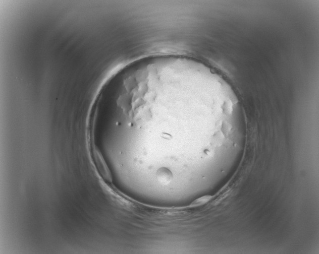 X0000064731471200602241659