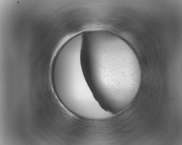 X0000064731472200602241659