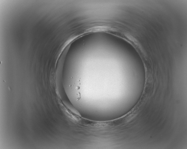 X0000064731473200602241659