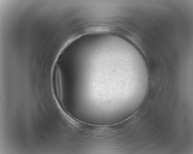 X0000064731475200602241659