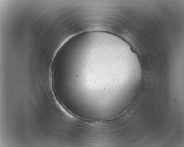 X0000064731476200602241659