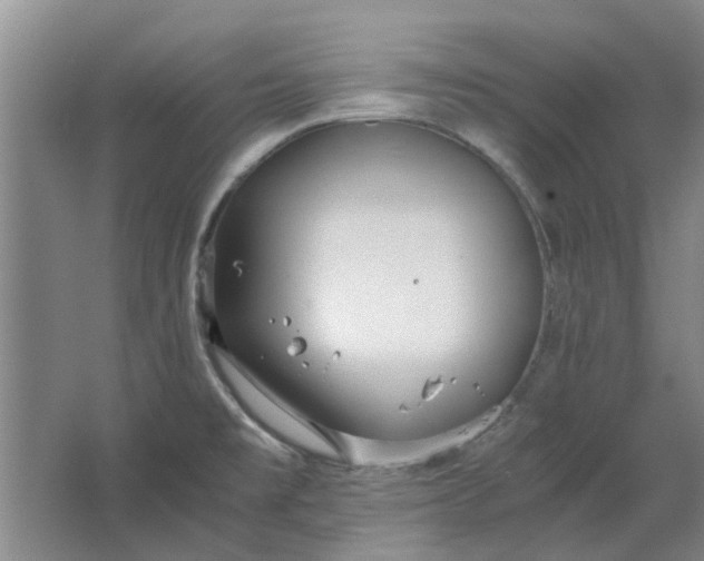 X0000064731477200602241659