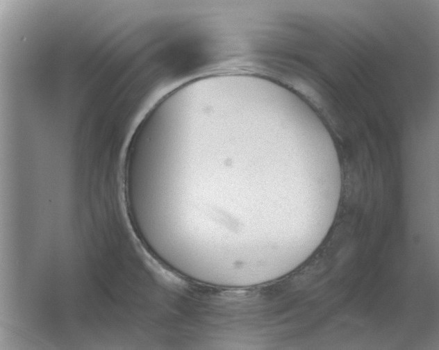 X0000064731478200602241659