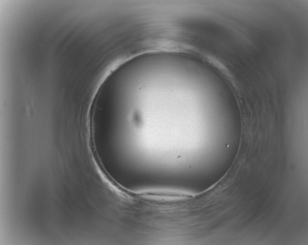 X0000064731479200602241659