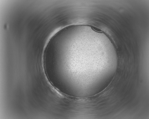 X0000064731480200602241659