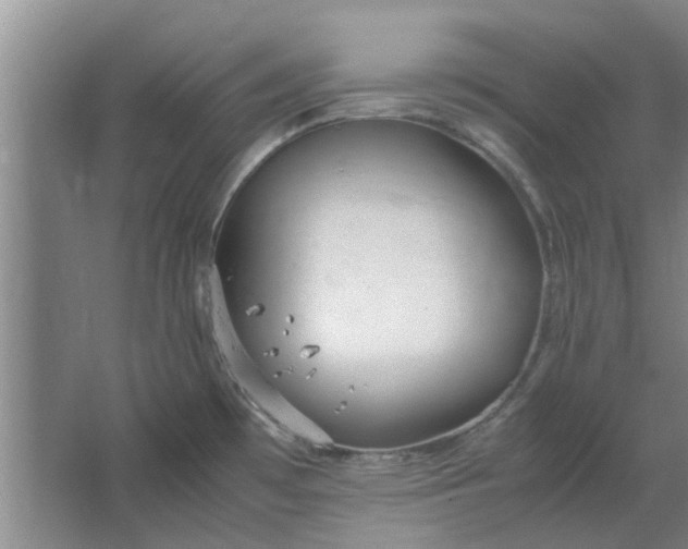 X0000064731481200602241659