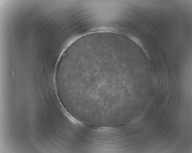 X0000064731482200602241659