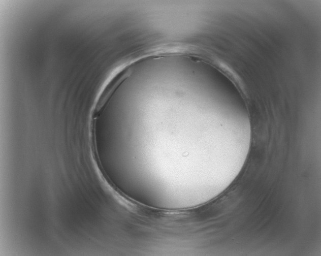 X0000064731483200602241659