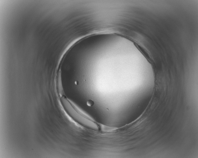 X0000064731484200602241659