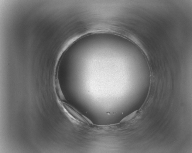 X0000064731485200602241659