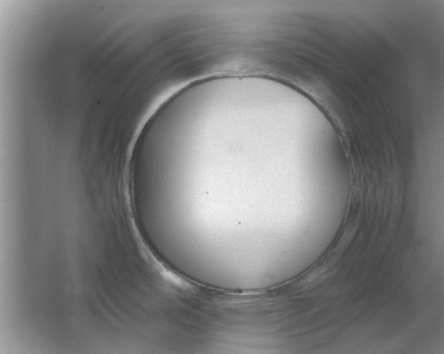 X0000064731486200602241659