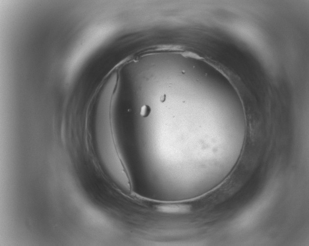 X0000064731487200602241659