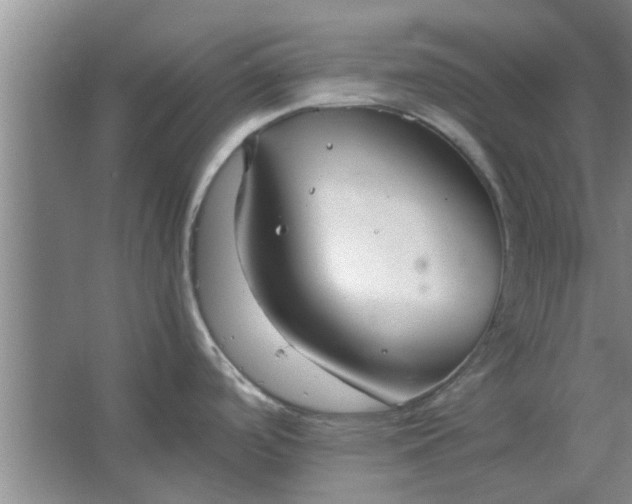 X0000064731488200602241659