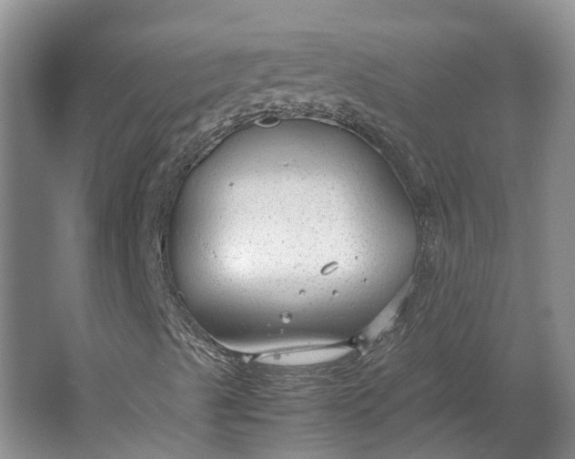 X0000064731489200602241657