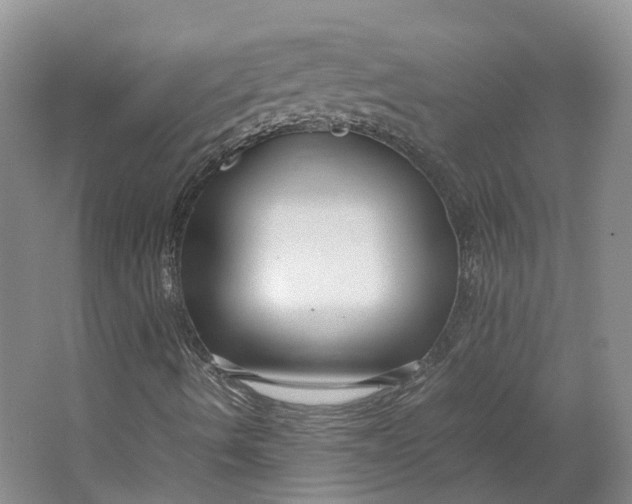 X0000064731490200602241657