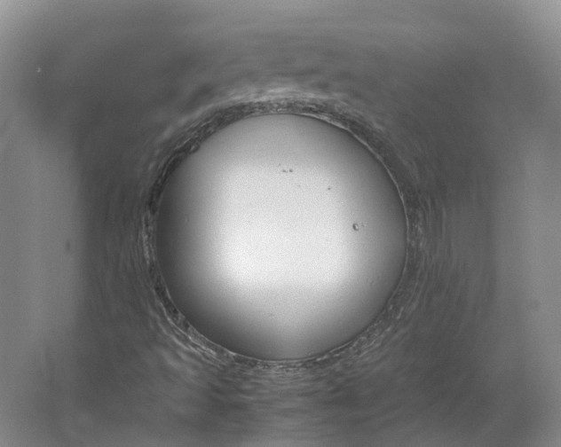 X0000064731493200602241657