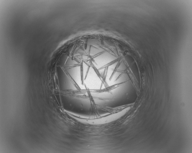 X0000064731494200602241657