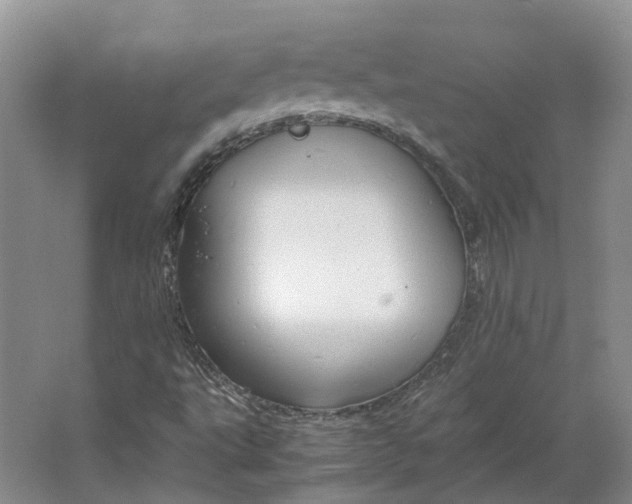 X0000064731495200602241657