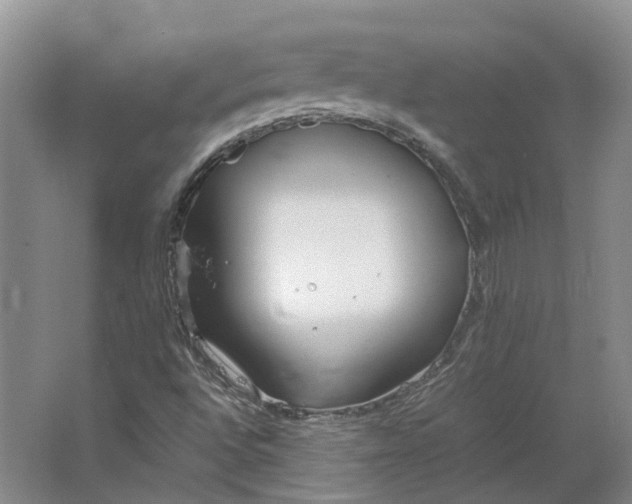 X0000064731496200602241658