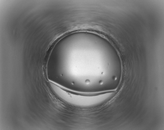 X0000064731497200602241658