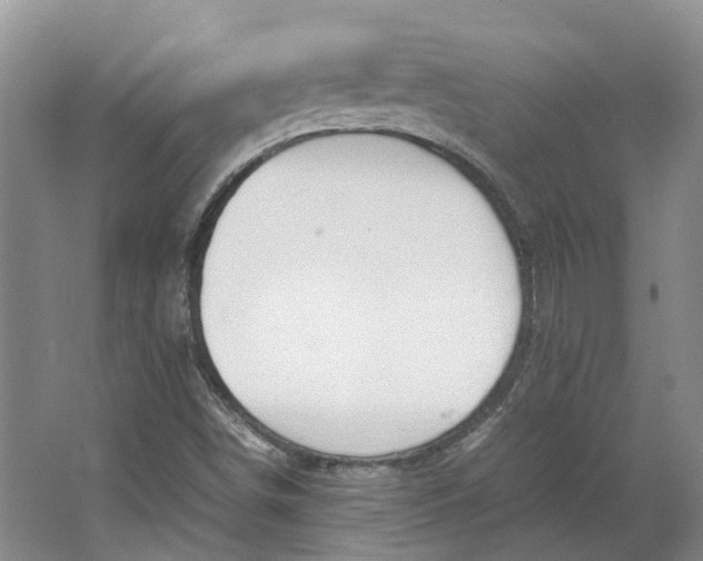 X0000064731498200602241658