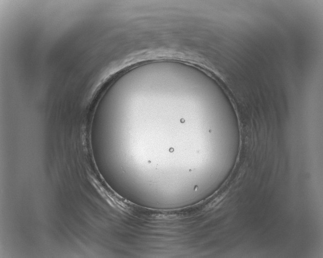 X0000064731499200602241658