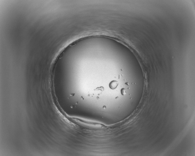 X0000064731500200602241658