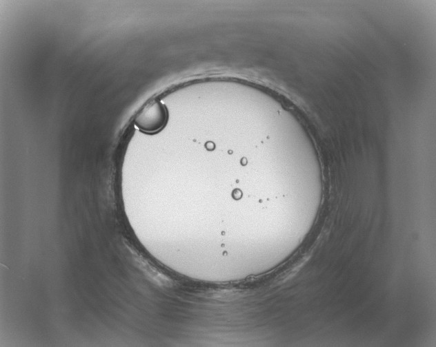 X0000064731502200602241658