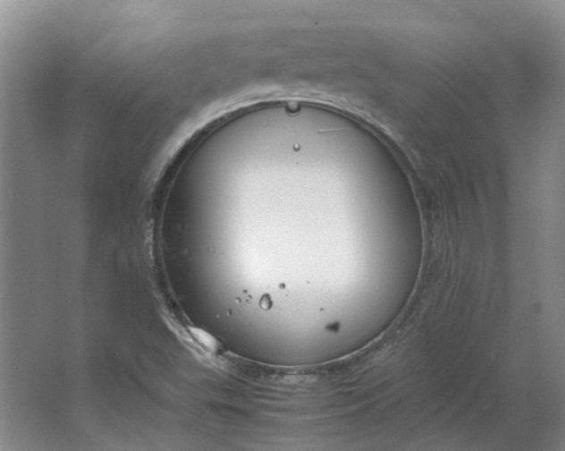 X0000064731503200602241658