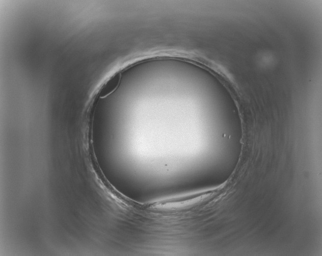 X0000064731504200602241658