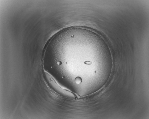 X0000064731505200602241658