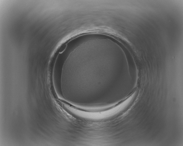 X0000064731506200602241658