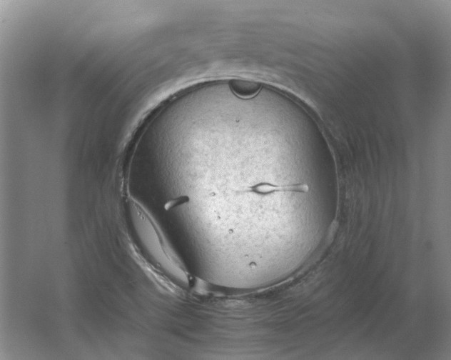 X0000064731507200602241658