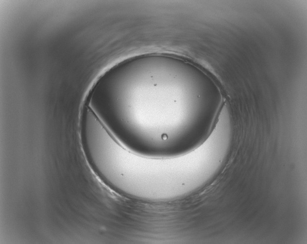 X0000064731508200602241658