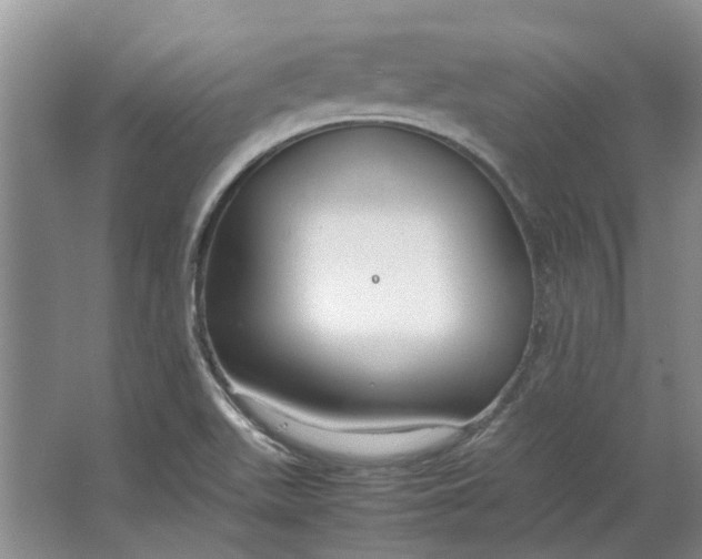 X0000064731511200602241658