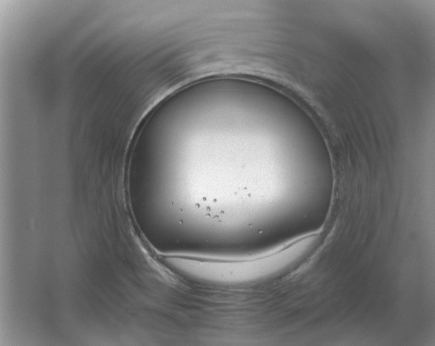 X0000064731513200602241658